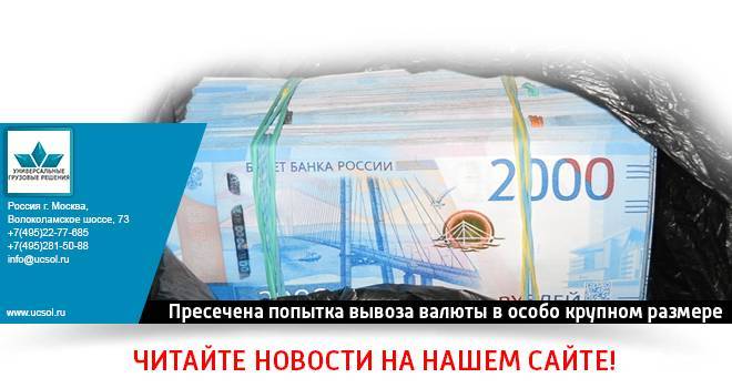Правила ввоза и вывоза валюты из россии физическими лицами