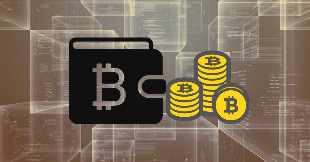 Bitcoin (биткоин) кошелек – виды, как выбрать