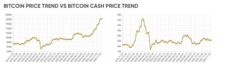 Биткоин и bitcoin cash: различия, преимущества и прогнозы на будущее | rusbase
