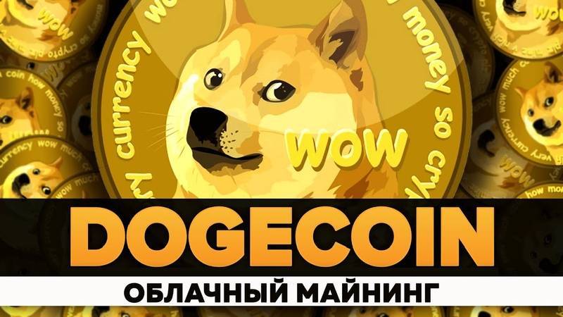 Криптовалюта dogecoin (doge): как купить и какой курс?