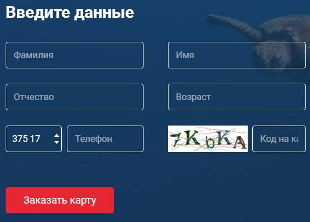 Втб: карта черепаха, магазины-партнеры, снятие наличных — finfex.ru