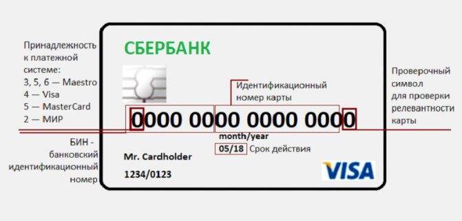 Способы узнать дату открытия карточного счета сбербанка