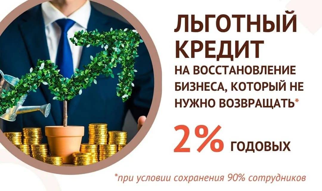 Как получить кредит юридическому лицу (ооо) в 2021 году: условия топ-7 банков — поделу.ру