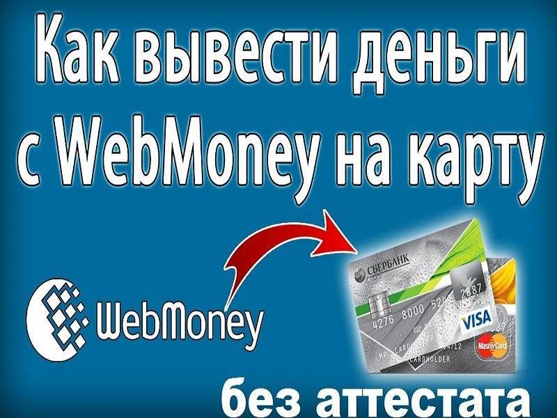 Способы вывода денег с webmoney – инструкция для пользователей