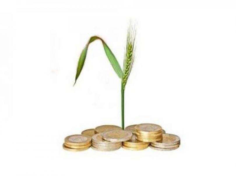 Россельхозбанк – кредиты для сельских жителей: условия, программы кредитования