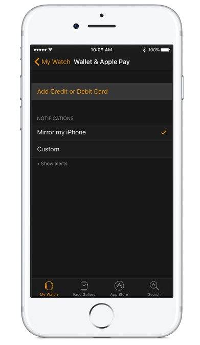 Есть ли apple pay на айфон 6: порядок включения и использования для оплаты
