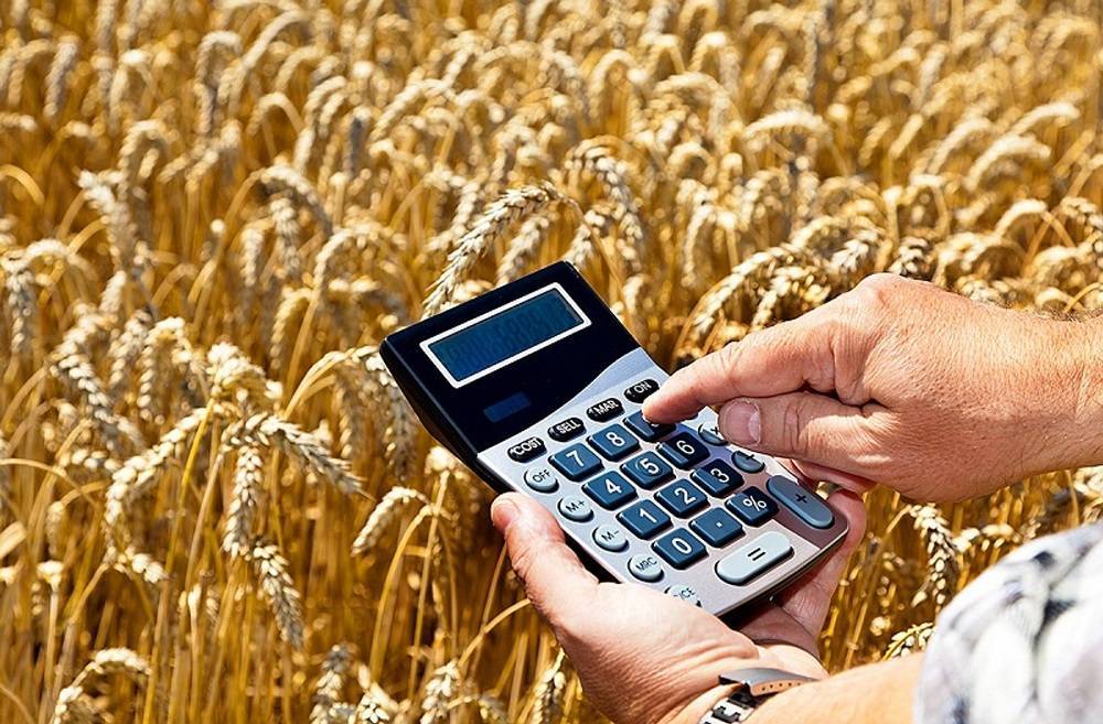 Россельхозбанк – кредиты для сельских жителей: условия, программы кредитования