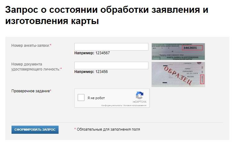Социальная карта москвича: номер и серия, образец, как получить и использовать