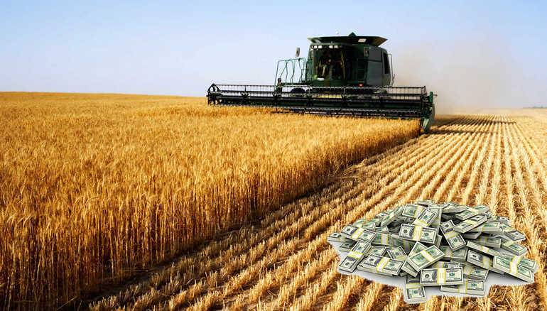 Кредит на развитие сельского хозяйства (лпх) — как взять за 3 шага