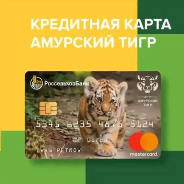 Кредитная карта амурский тигр россельхозбанка онлайн заявка