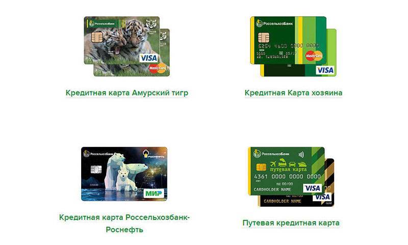 Обзор условий кредитной карты «амурский тигр» от банка россельхоз