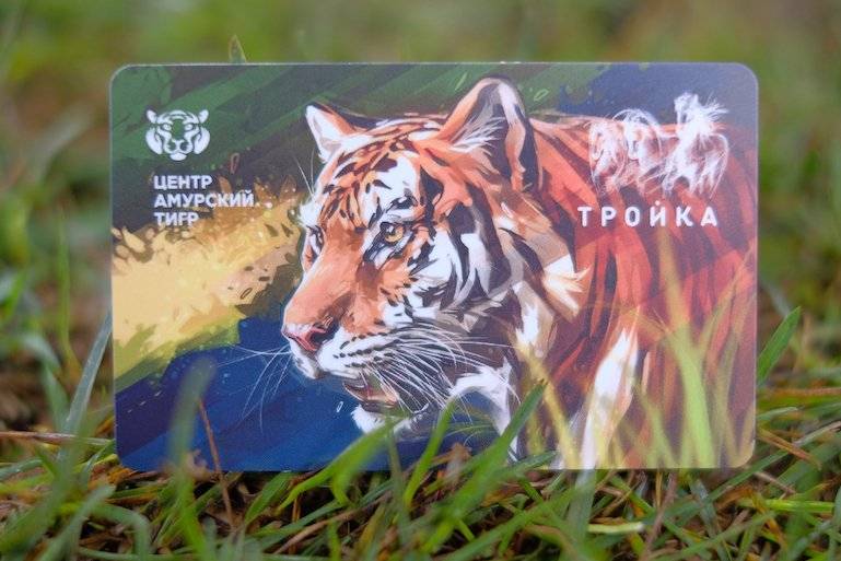 Кредитная карта амурский тигр под 23.9% в российских рублях банка россельхозбанк | банки.ру