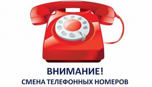 Бесплатный номер телефона горячей линии «банка россия»