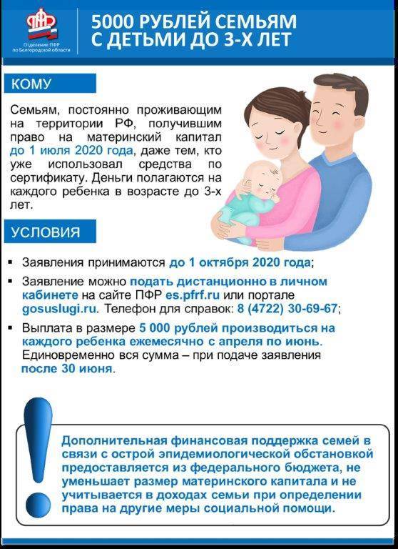 Материнский капитал за первого ребёнка с 2020 года: сумма, куда обращаться, документы.
