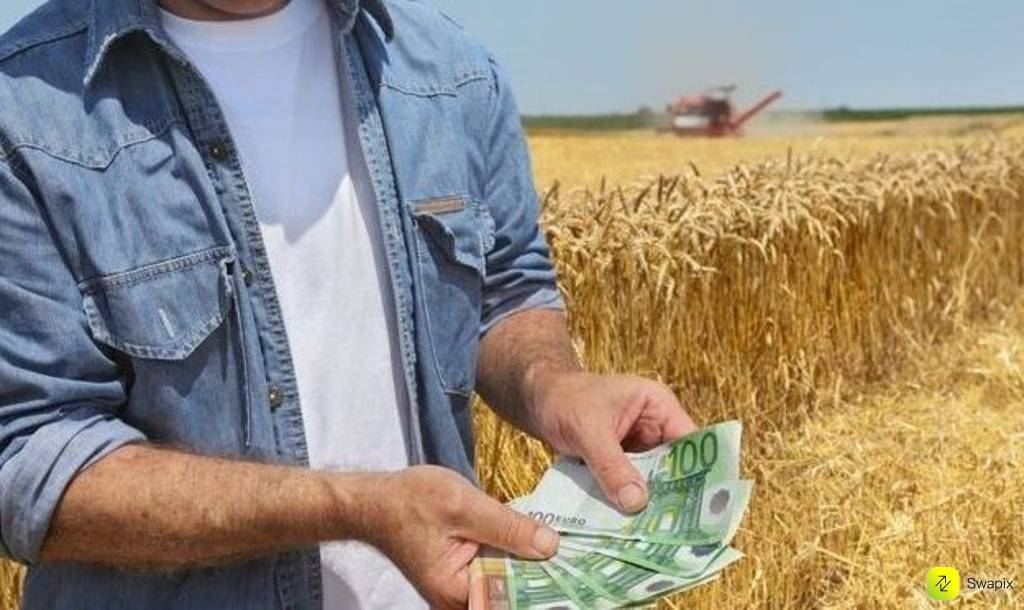 Кредит на развитие лпх в россельхозбанке в 2021 году: условия, ставка, как оформить?