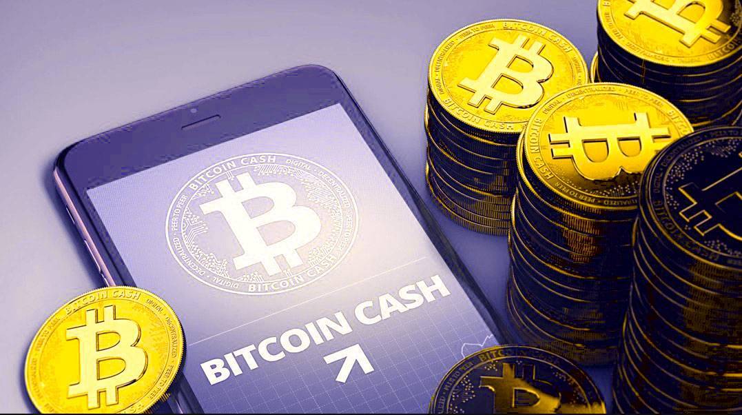 Что такое bitcoin cash и bitcoin gold?