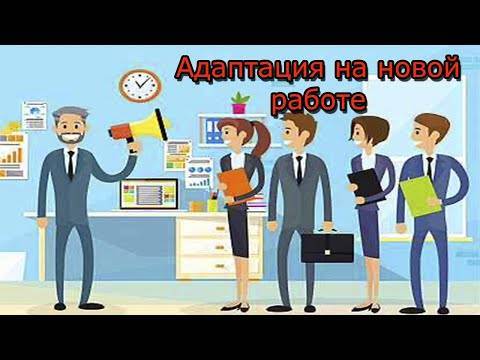 14 советов, чтобы освоиться на новой работе | executive.ru