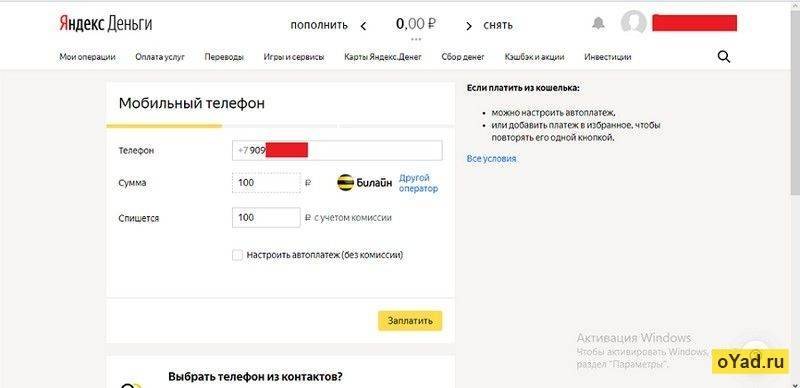 Яндекс деньги в беларуси