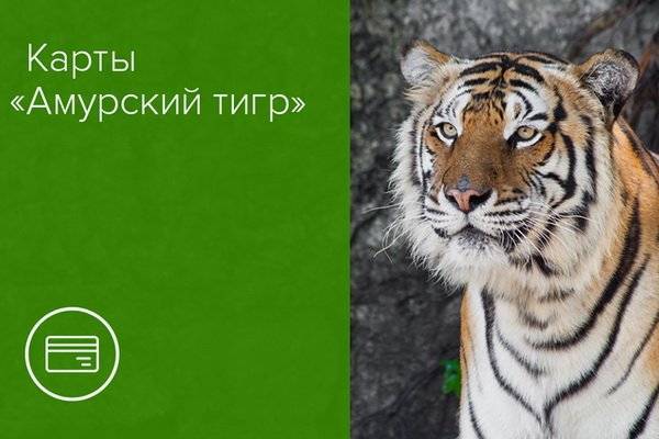 Дебетовая карта амурский тигр к вкладу от россельхозбанка: условия, отзывы