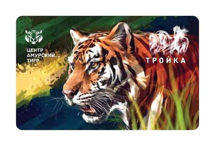 Кредитная карта “амурский тигр” россельхозбанка: условия оформления и отзывы