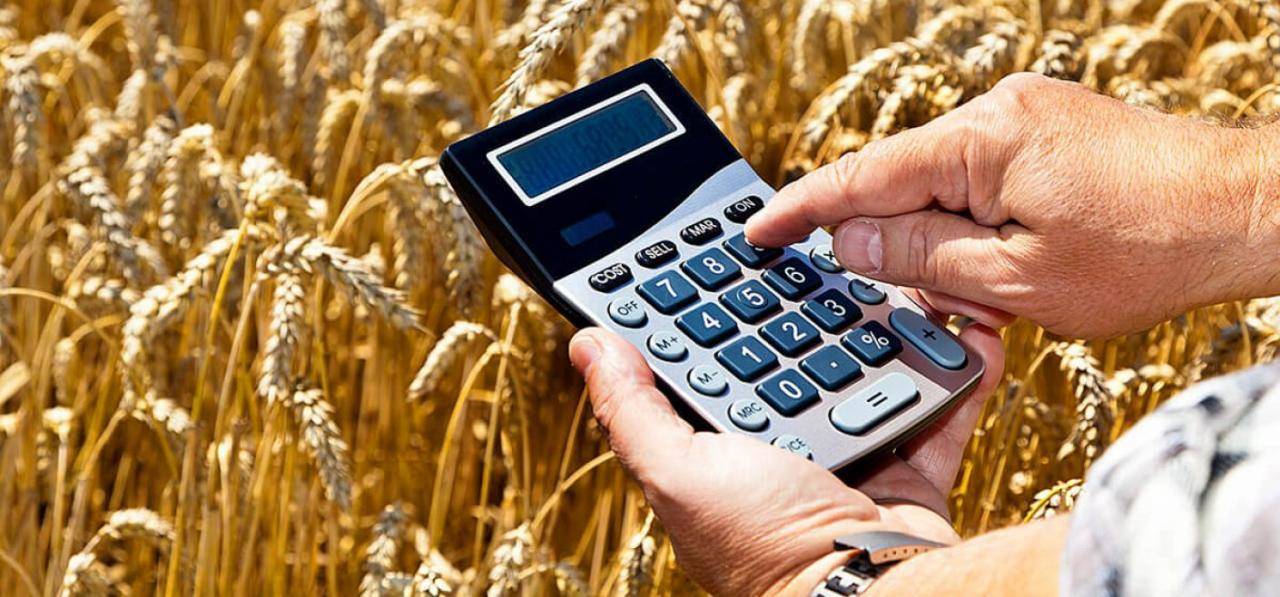 Кредит для ип в россельхозбанке – условия, требования к получателю