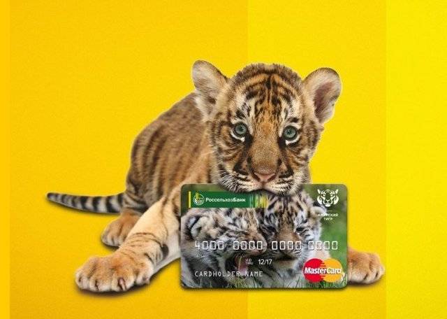 Карта амурский тигр россельхозбанк условия обслуживания | оформить амурский тигр от россельхозбанка онлайн | банки.ру